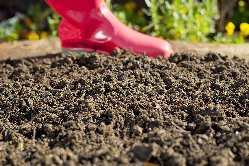 Read more about the article How to prepare soil for planting