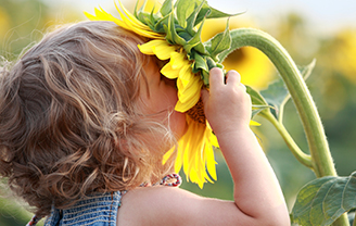 Read more about the article Gardening for the Sunflower Fund