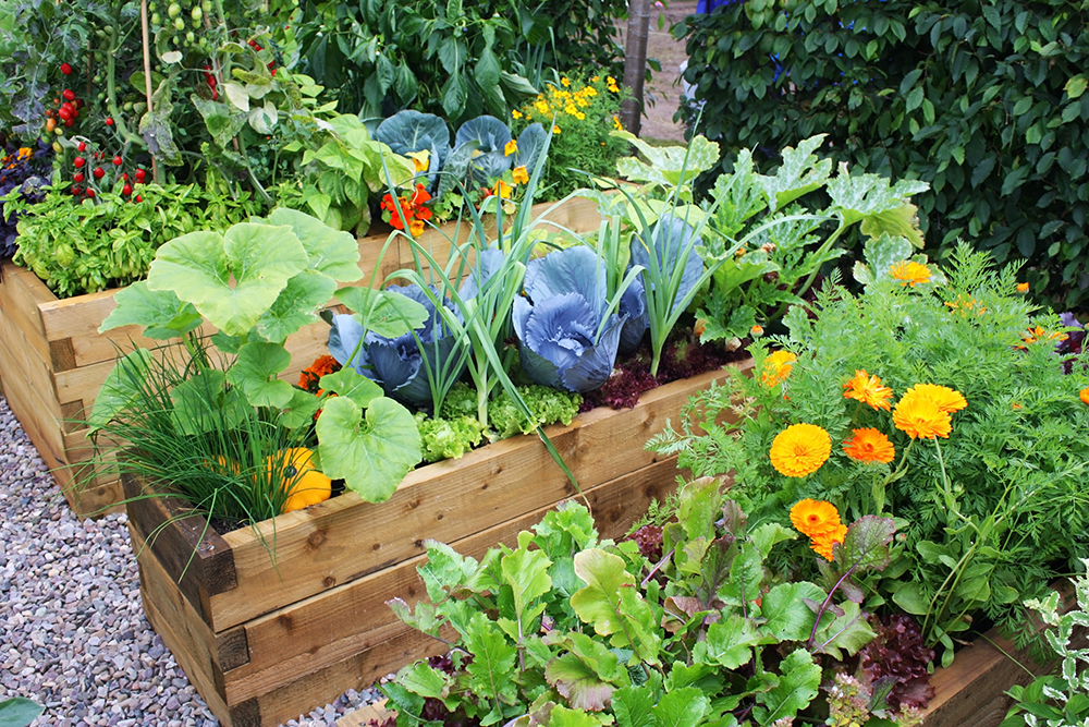 Read more about the article No Dig Gardening – So Easy.