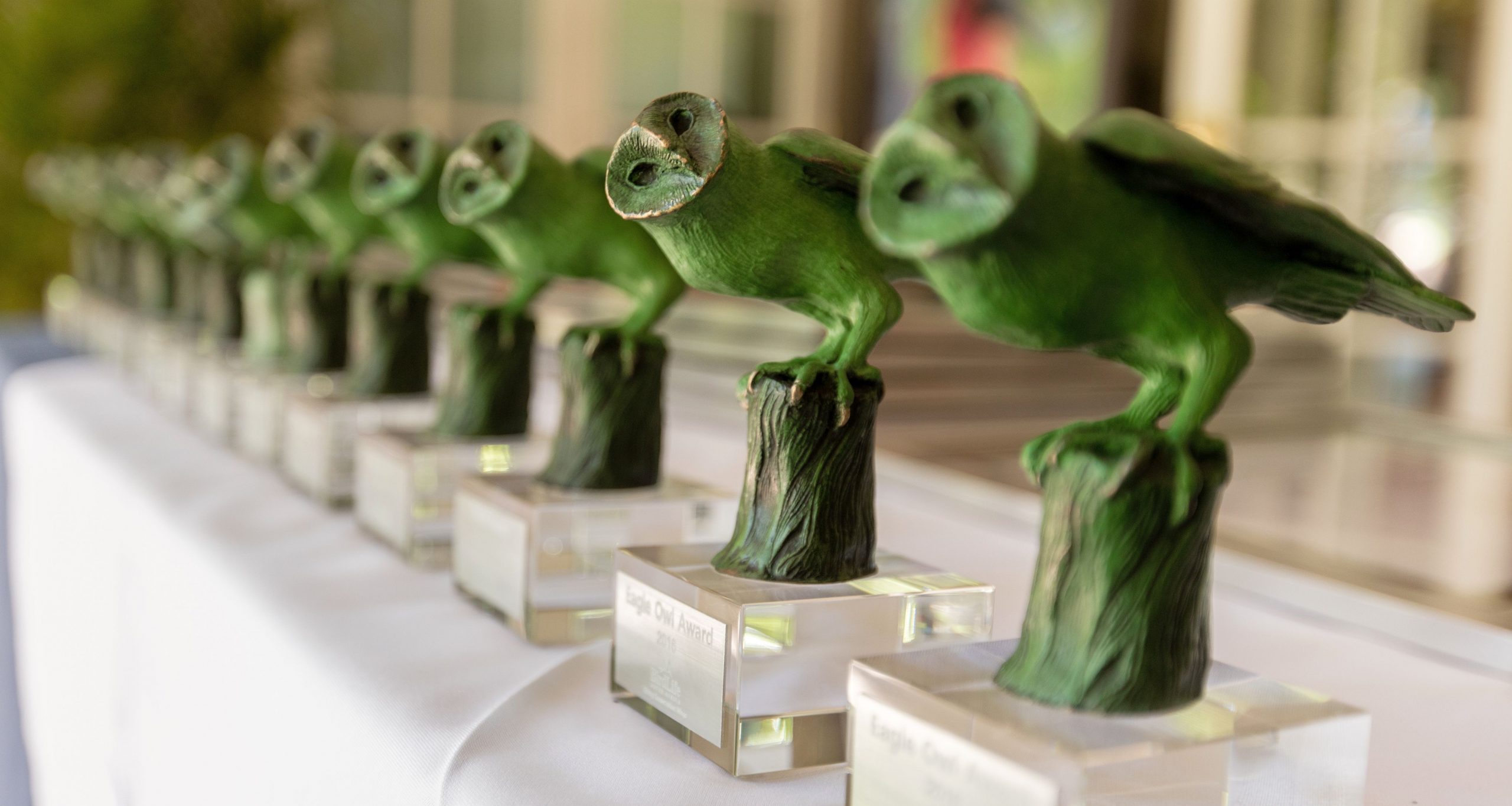 Read more about the article GardenShop receives an Owl Award