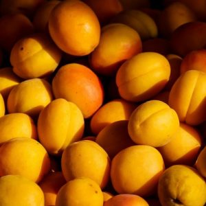 Apricot Bulida