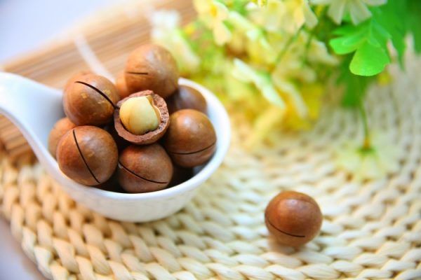 Macadamia Nut2