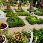 Our Organic Vegetable Garden