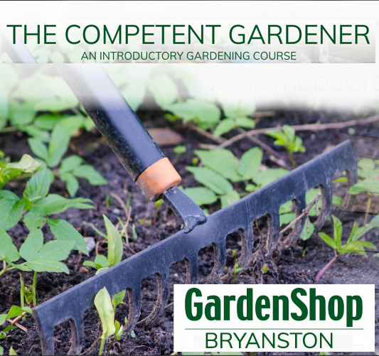 An Introductory Gardening Course | Gardenshop