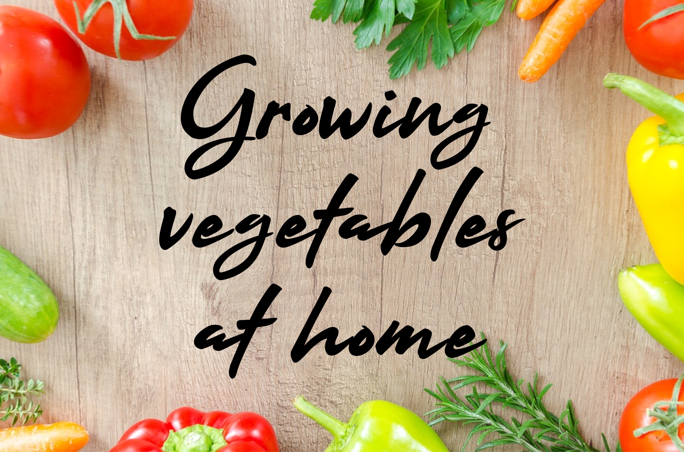 Read more about the article Growing Vegetables @ Home
