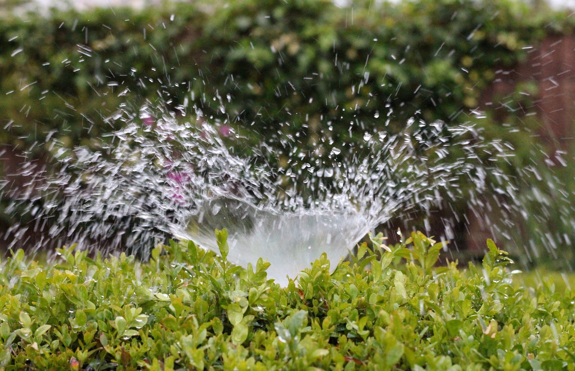 Read more about the article Taking the guess work out of irrigation repairs!