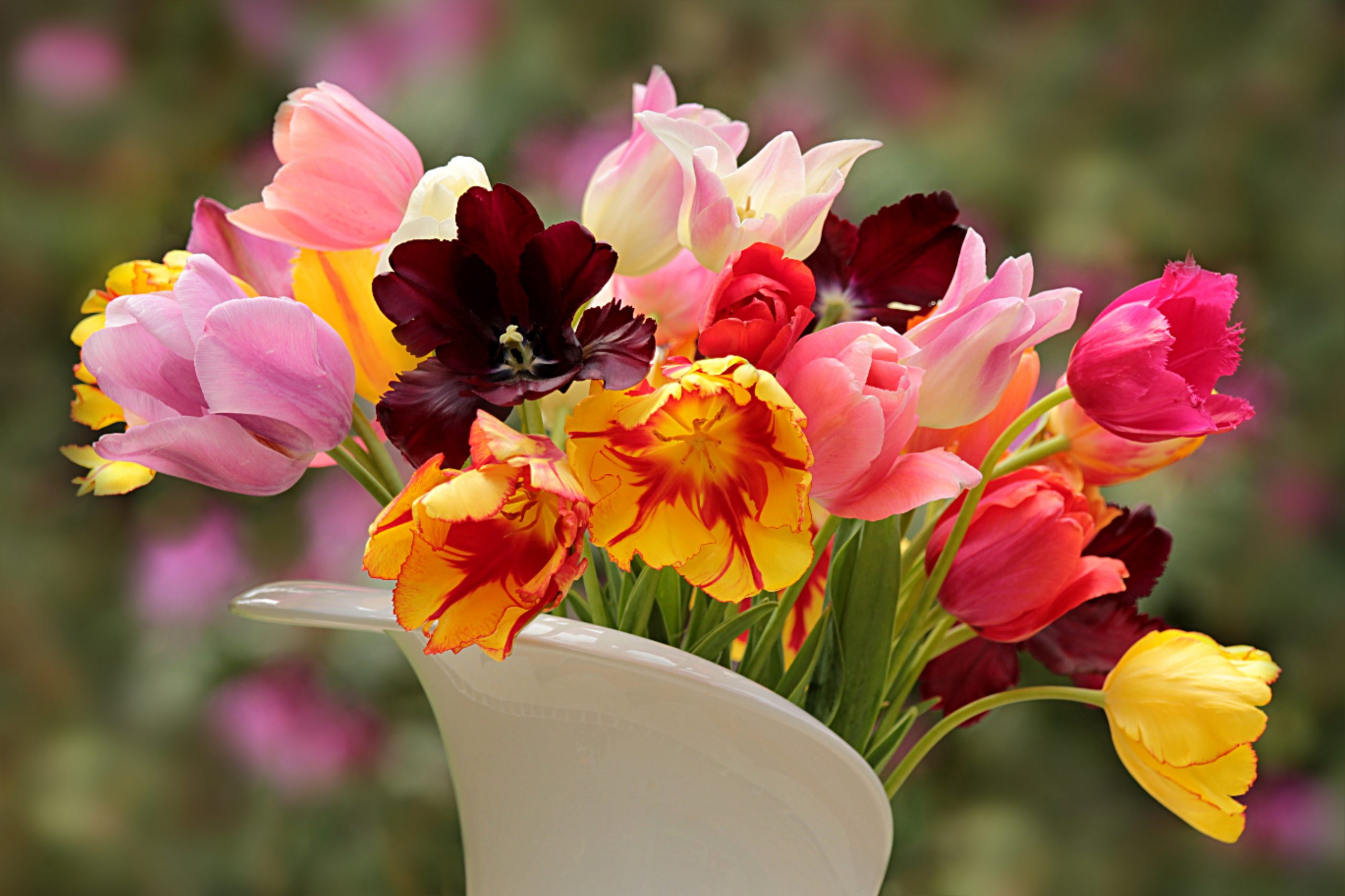 Read more about the article Cutflower Care