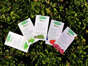 Seed cards