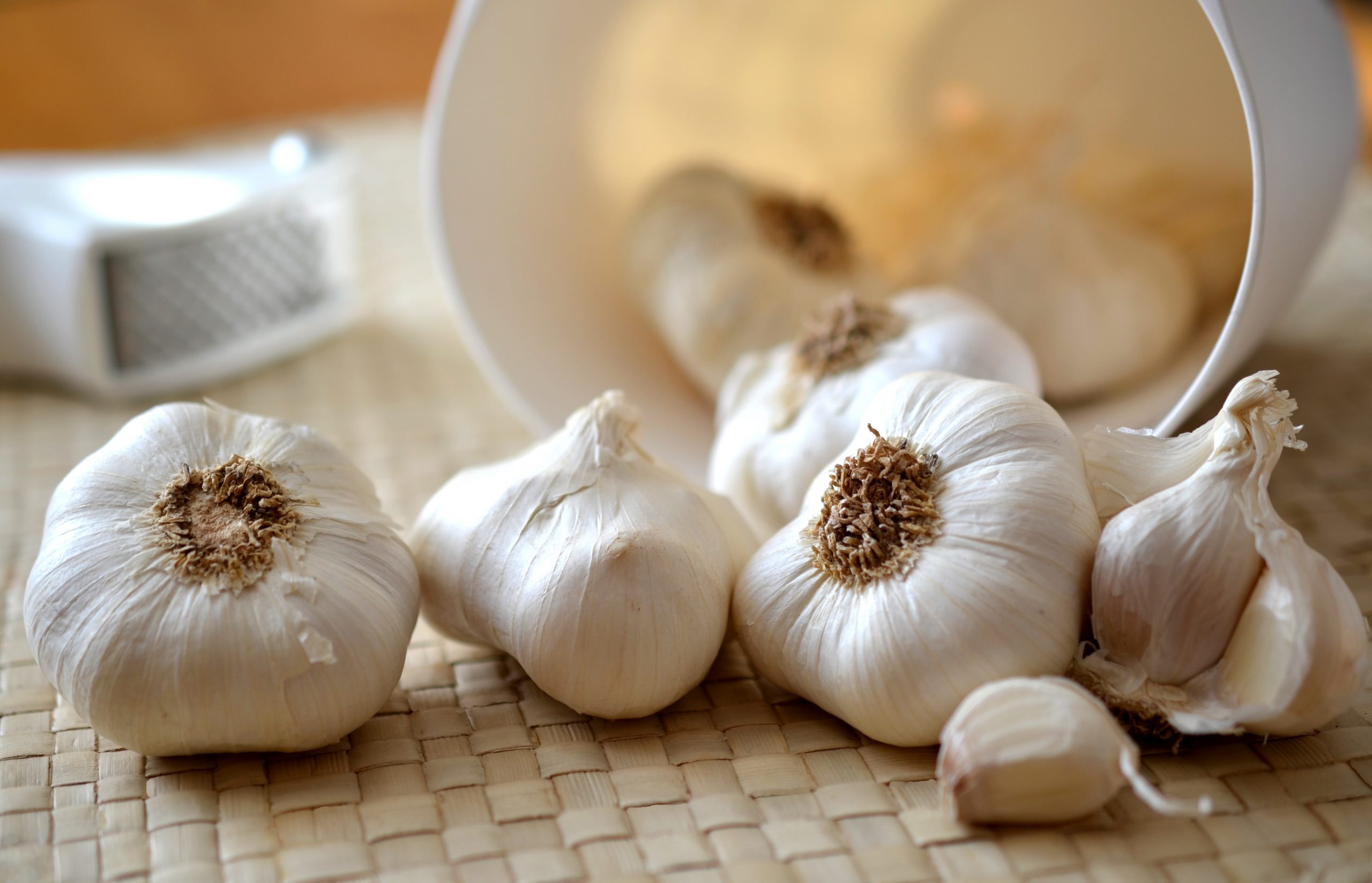 Read more about the article GARLIC