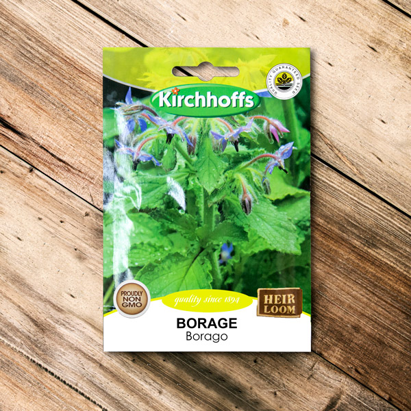 70063071 - Kirchhoffs - Borage Borago