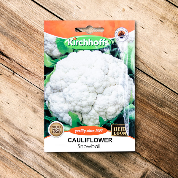 70063060 - Kirchhoffs - Cauliflower Snowball