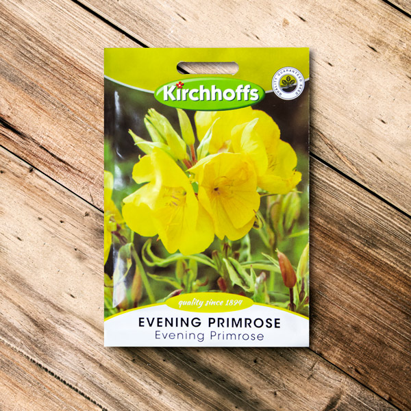 70063056 - Kirchhoffs - Evening Primrose