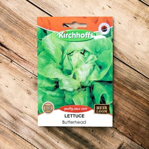 Kirchhoffs – Lettuce Butterhead