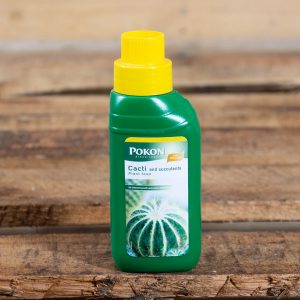 Pokon – Cactus plant food 250ml