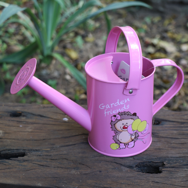 70046768 - Watering Can