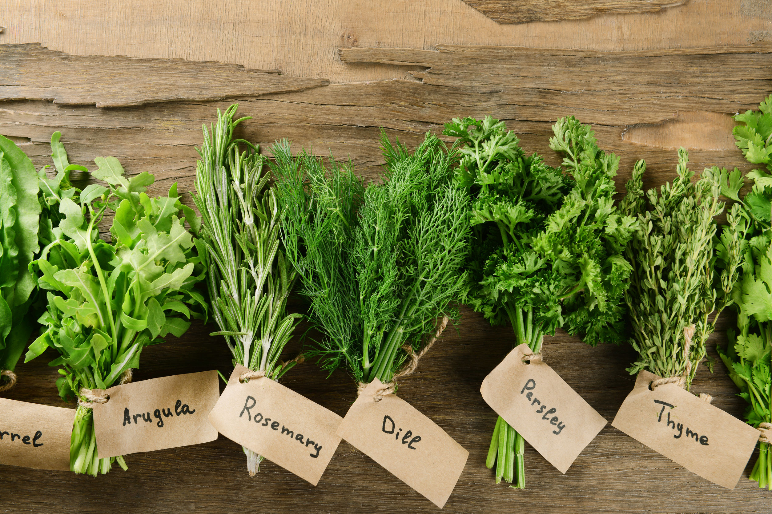 Top 5 Herbs To Grow Indoors – Tips And Solution