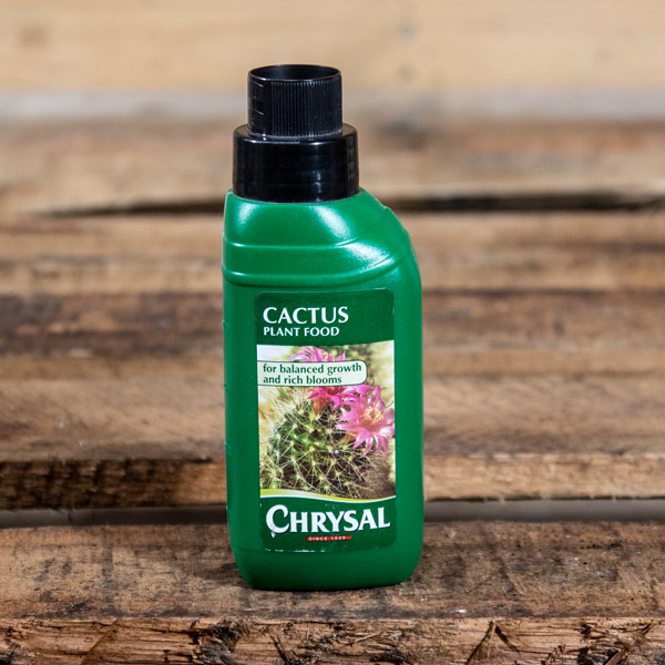 70016508 - Chrysal - Cactus plant food 250ml