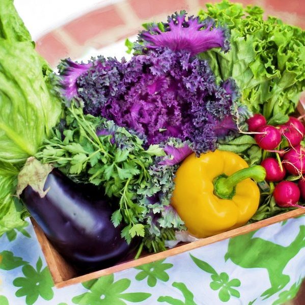 Read more about the article Vegetable Gardening