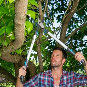 Gardena – Energy Cut Pruning