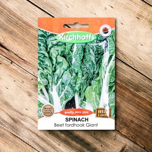 Kirchhoffs – Spinach Beet Fordhook Gaint