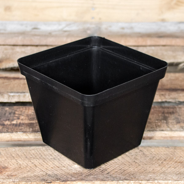 10006120 - Plastic Pot SQ 17cm (3)
