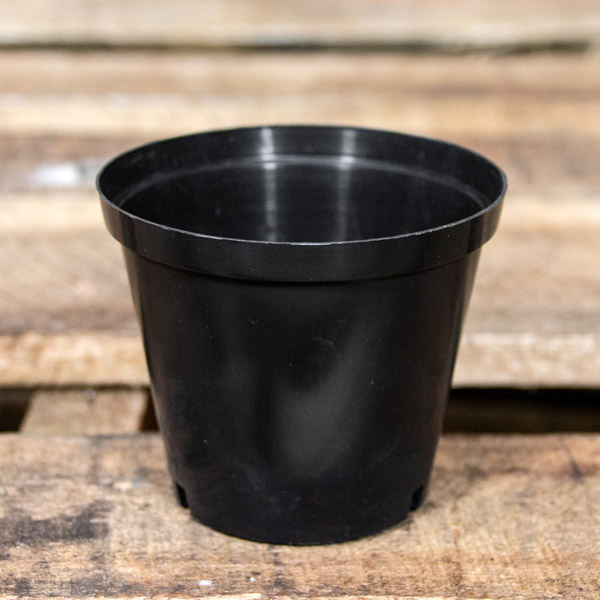 42481200 - Plastic pot 10cm (3)
