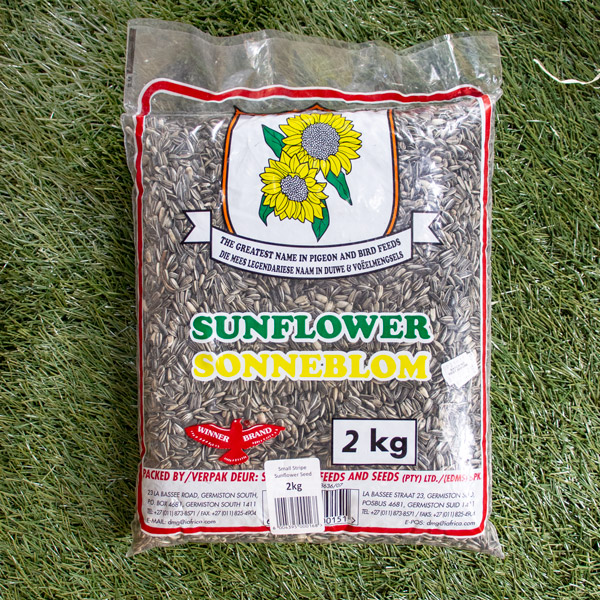 50241665 - Sunflower Seeds 2kg