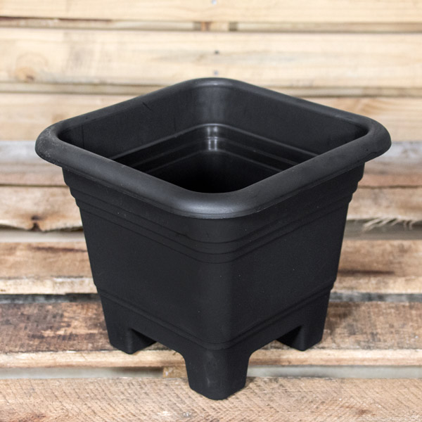 70055903 - Plastic Pot SQ 22cm