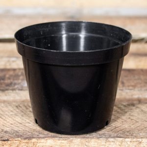 Plastic Pot 15cm