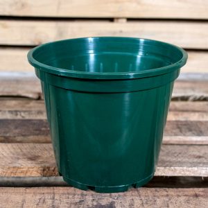 Plastic Shrub Pot 23cm