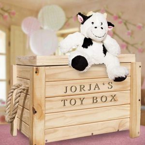 Personalised wooden toy box on wheels