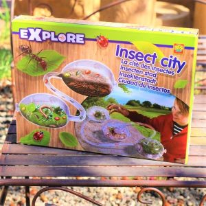 Explore Insect City