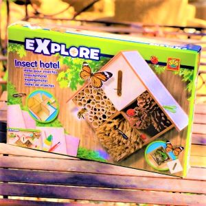 Explore Insect hotel