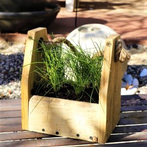 Wooden box with Chives