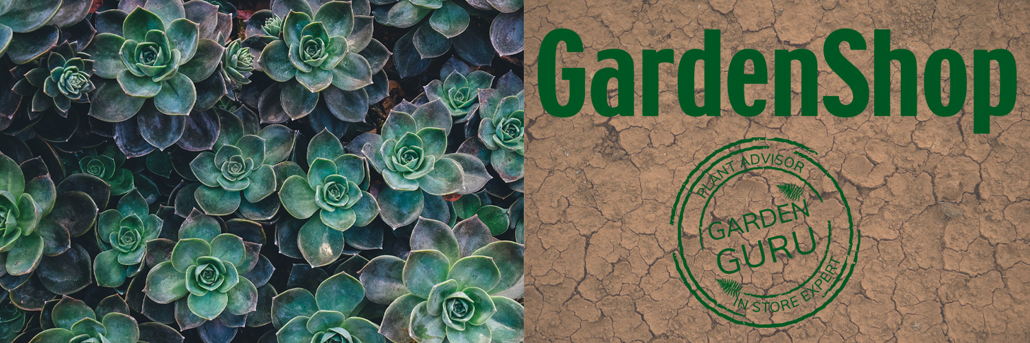 Read more about the article THIS WEEK’S GARDEN GURU TIP!
