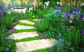 Garden Guru Tip | Gardenshop