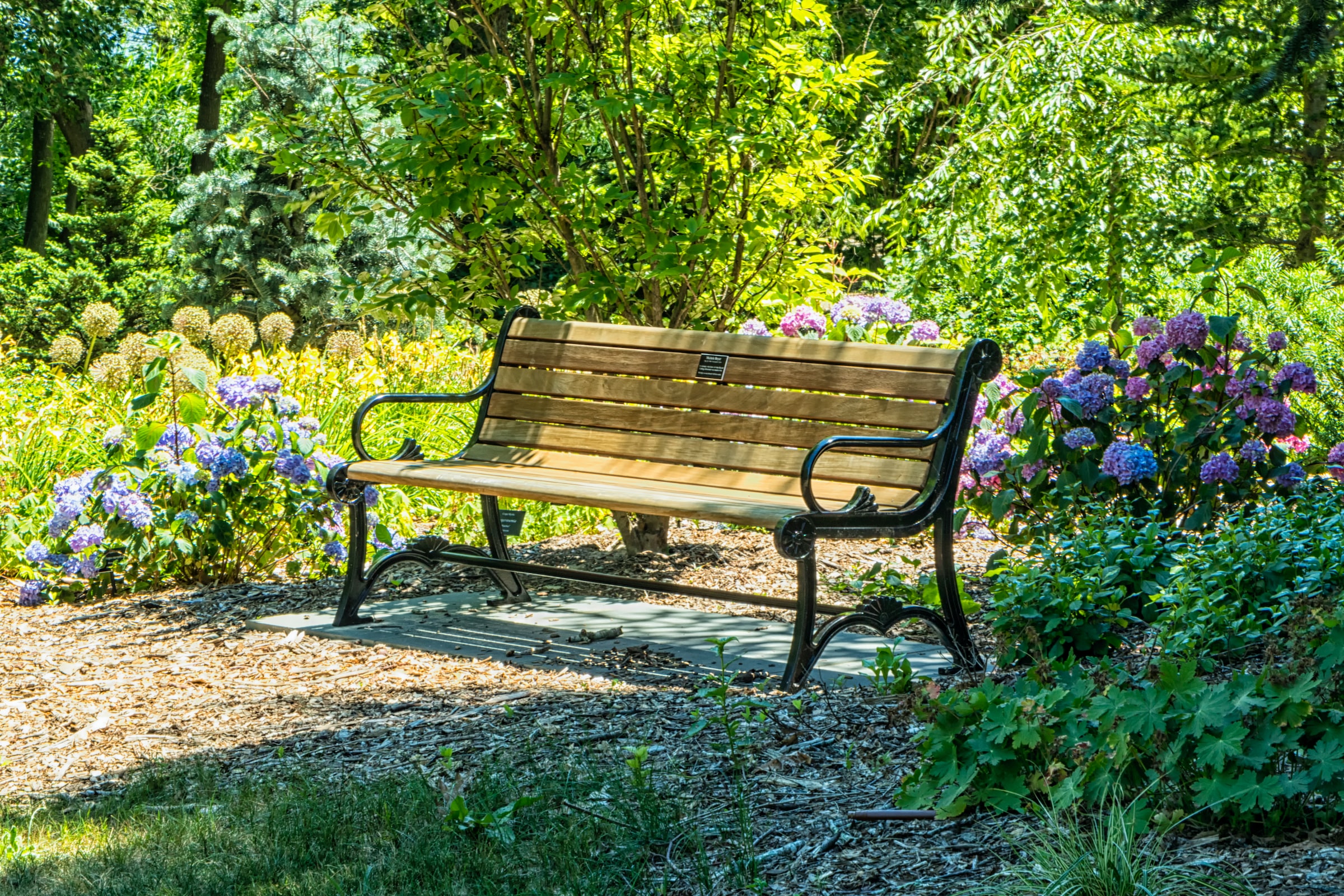 Read more about the article GARDEN GURU – PREPARE YOUR GARDEN FOR THE LAZY HAZY DAYS OF SUMMER!