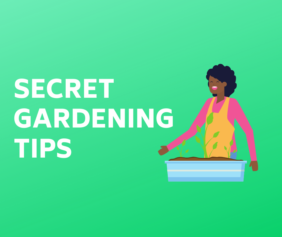 Garden Guru Share Her Secret Gardening Tips | Gardenshop