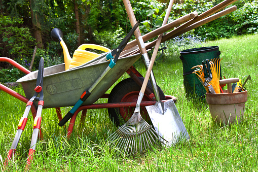 Read more about the article GARDEN GURU ON THE RIGHT STUFF – TOOLS FOR GARDENING!