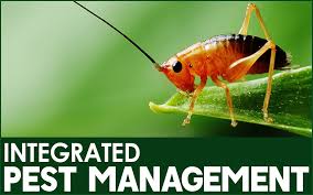 Integrated Pest Management | Gardenshop