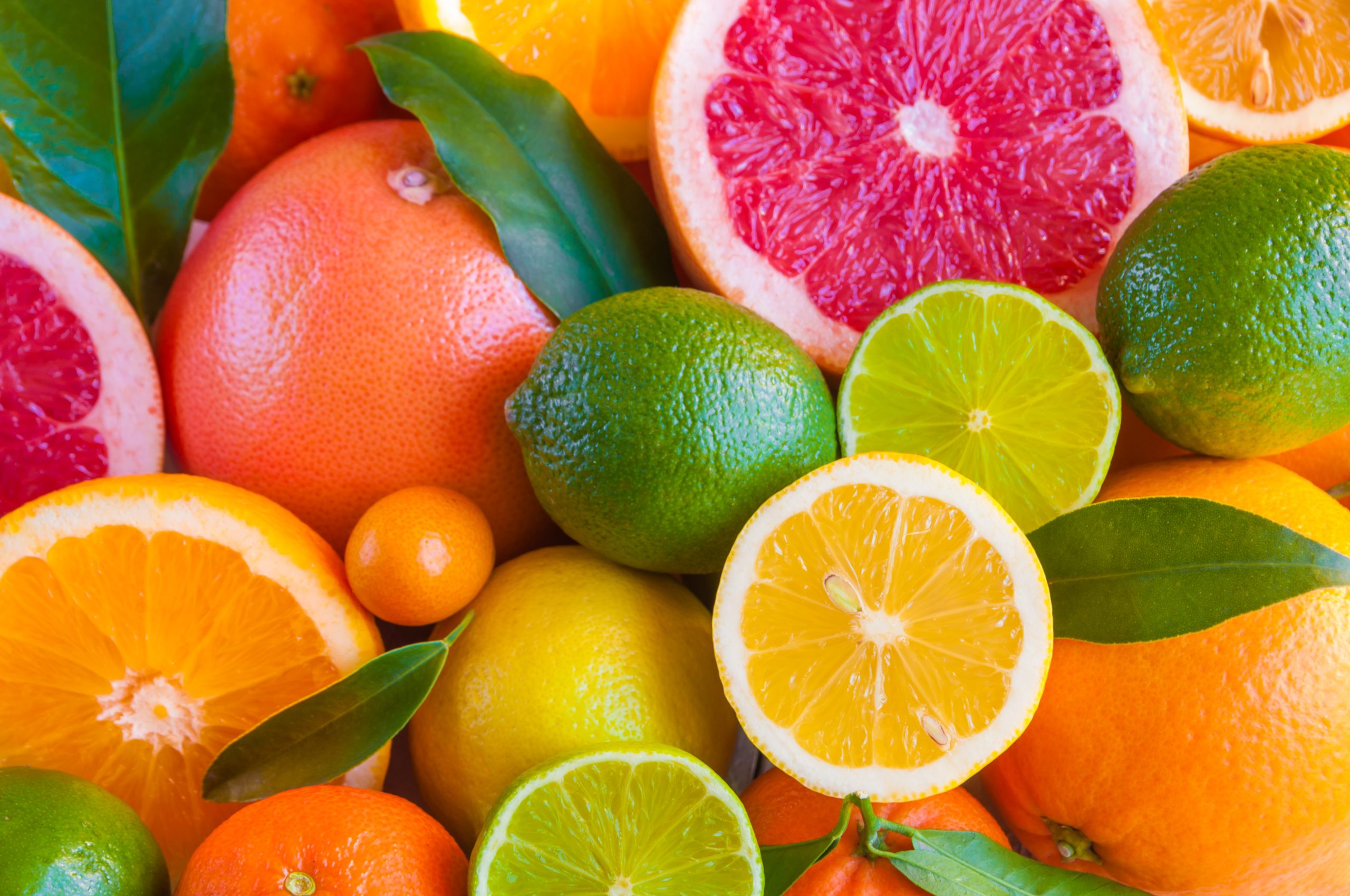 Super Citrus Fruits | Gardenshop
